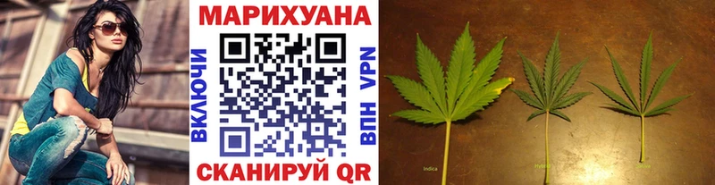 наркотики  Белая Холуница  МАРИХУАНА планчик 